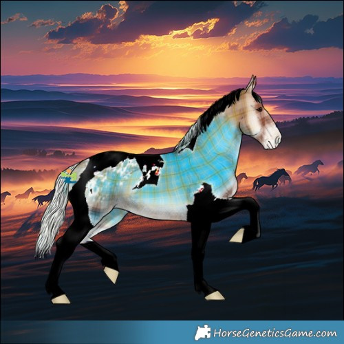 Horse Color:Plaid  Silver Blue Onyx Tobiano Varnish 