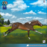 Horse Color:Gray Silver Buckskin Tobiano 