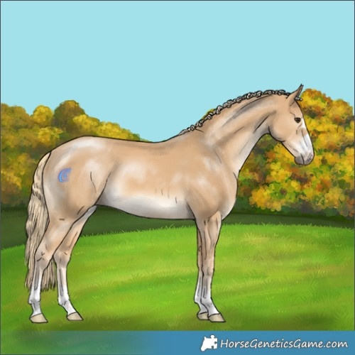 Horse Color:Chestnut Mushroom