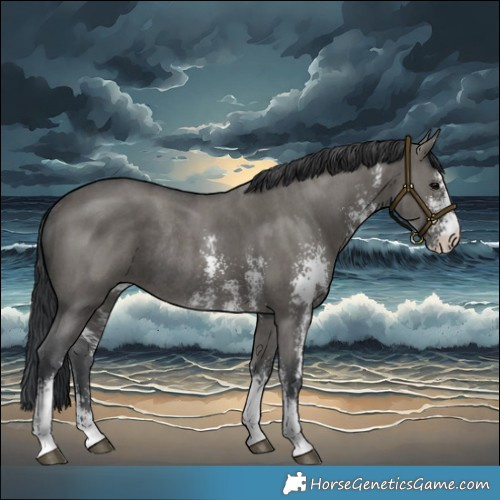 Horse Color:Grullo Sabino Rabicano