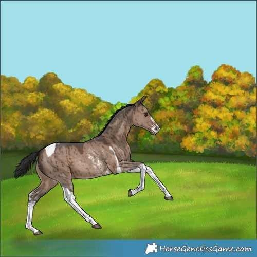 Horse Color:Liver Red Dun Sabino Tobiano Rabicano Brindle 