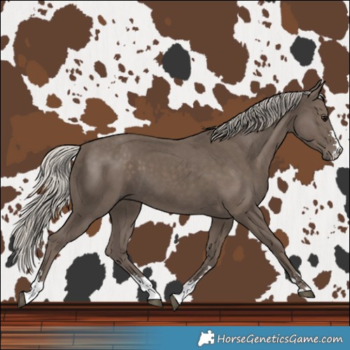 Horse Color:Silver Black 