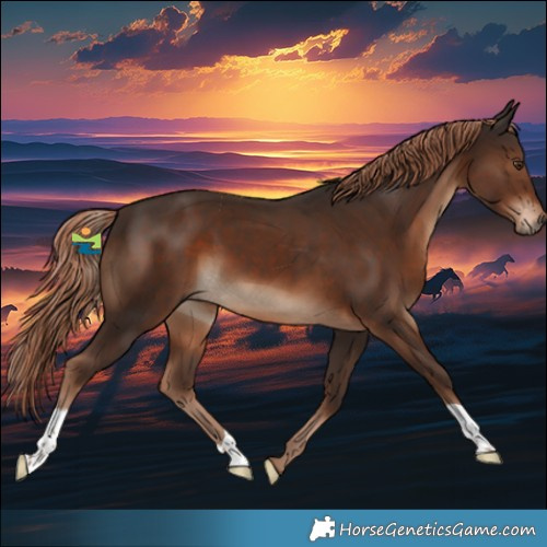 Horse Color:Liver Chestnut 