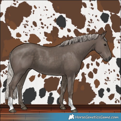 Horse Color:Silver Black 