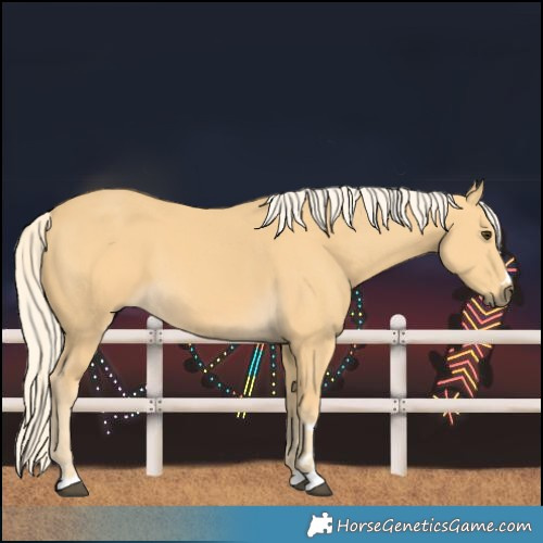 Horse Color:Palomino