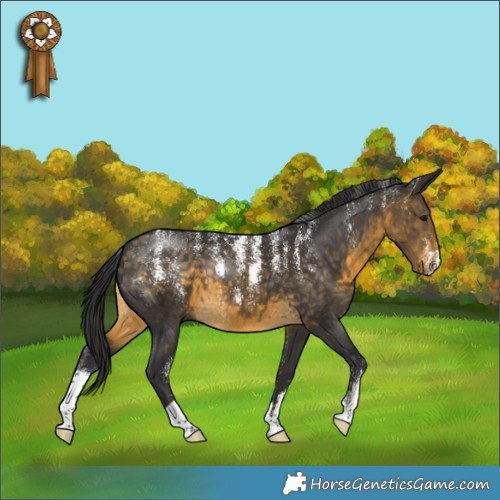 Horse Color:Powder White Buckskin
