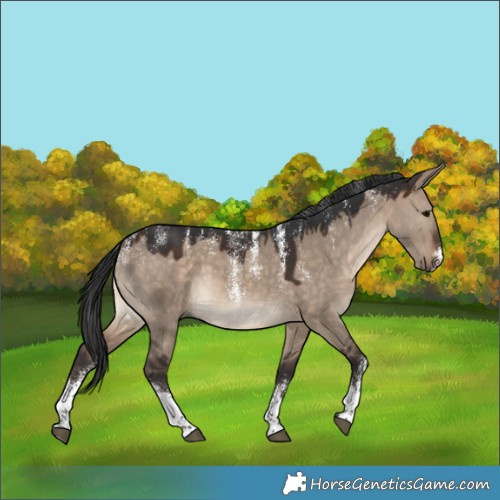 Horse Color:Powder White Brown Dun