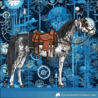 Horse Color:Black Sabino  and White Spotted Black Frame 