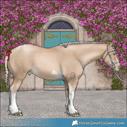 Horse Color:Chocolate Palomino Pearl Tobiano Frame and Chocolate Palomino Pearl Tobiano Frame