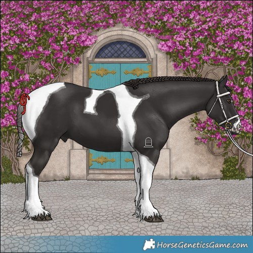 Horse Color:Liver Chestnut Tobiano 