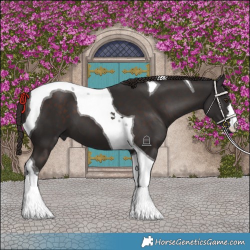 Horse Color:Liver Chestnut Tobiano