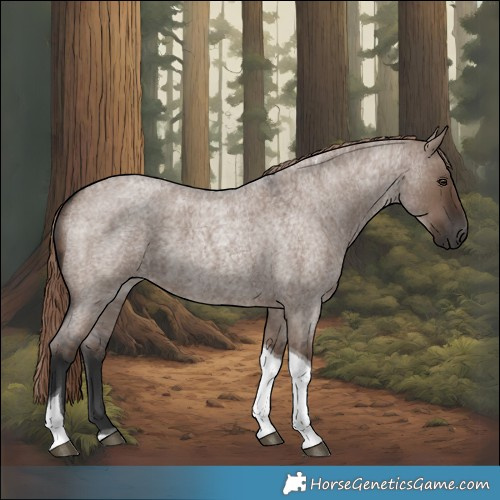 Horse Color:Liver Red Dun Roan Tobiano 