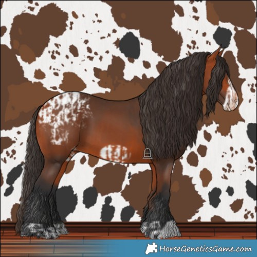 Horse Color:Bay Blanket  and Bay Frame Blanket 