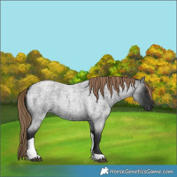 Horse Color:Liver Red Roan Tobiano 