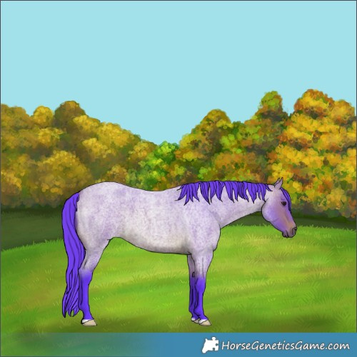 Horse Color:Watercolor Bay Roan 
