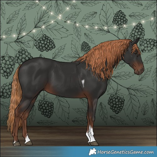 Horse Color:Liver Chestnut Tobiano