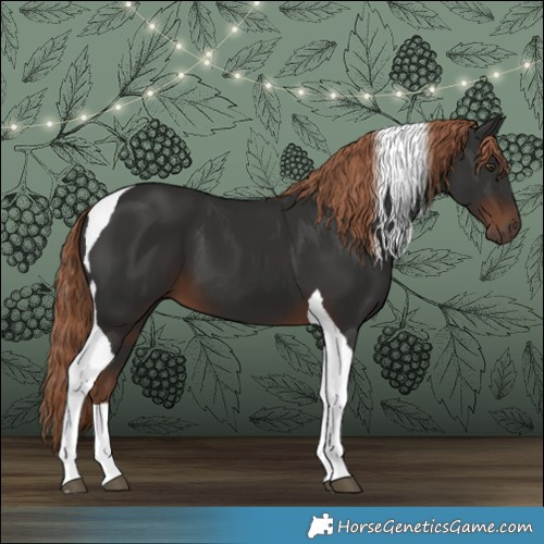 Horse Color:Liver Chestnut Tobiano 