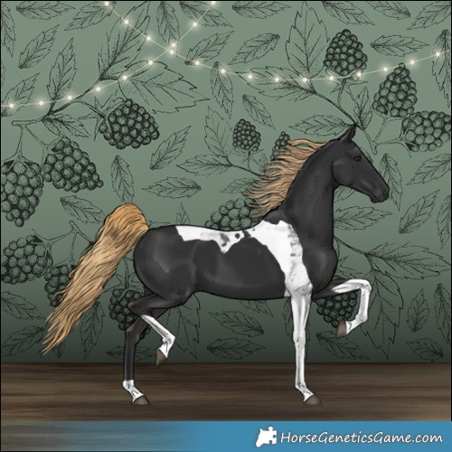 Horse Color:Liver Chestnut Tobiano 