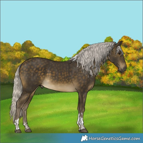 Horse Color:Silver Buckskin Tobiano 