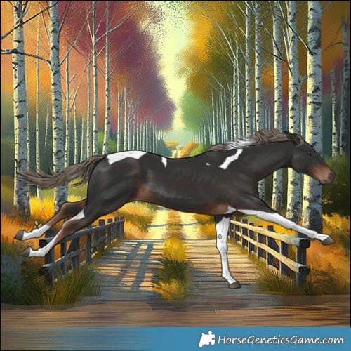 Horse Color:Liver Chestnut Tobiano
