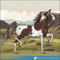 Horse Color:Gray Chestnut Splash Tobiano Frame 