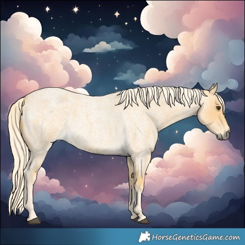 Horse Color:Palomino Roan 