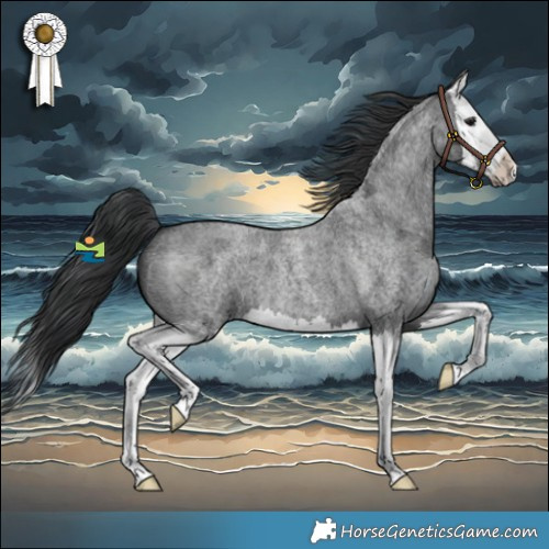 Horse Color:Blue Roan Splash