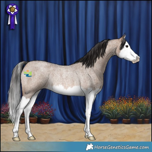 Horse Color:Brown Roan Dun Splash Rabicano 
