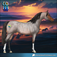 Horse Color:Bay Roan Rabicano 