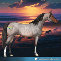 Horse Color:Bay Roan Rabicano 