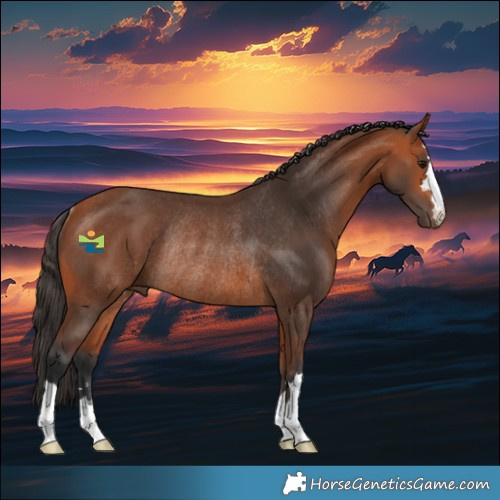 Horse Color:Bay Rabicano 
