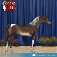 Horse Color:Brown Tobiano Rabicano