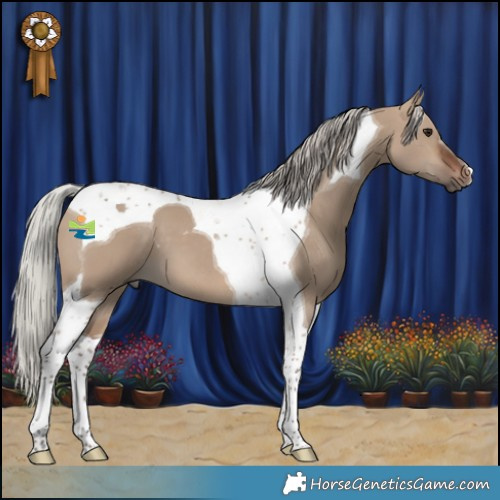 Horse Color:Silver Brown Dun Tobiano