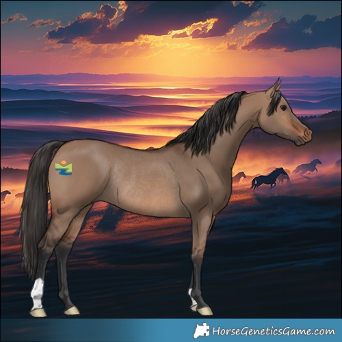 Horse Color:Brown Dun Rabicano