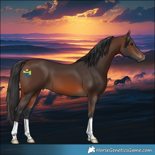 Horse Color:Brown 