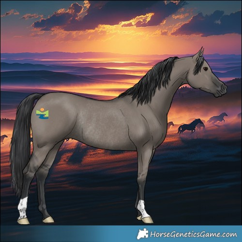 Horse Color:Grullo Rabicano