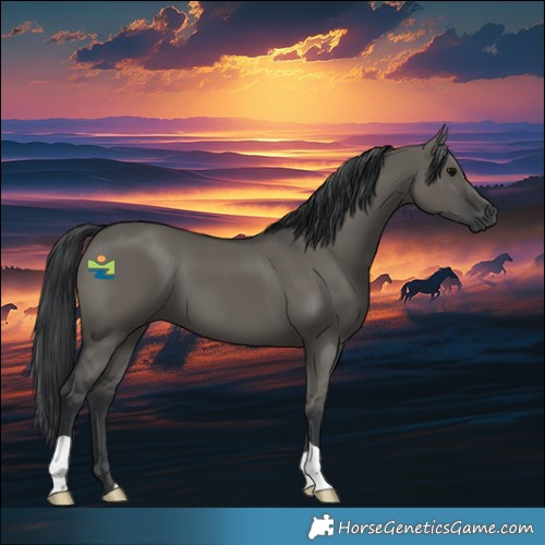 Horse Color:Grullo 