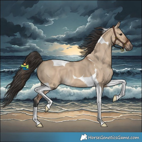 Horse Color:Bay Dun Tobiano 