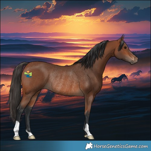 Horse Color:Bay Rabicano 