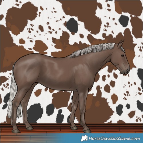Horse Color:Silver Black 