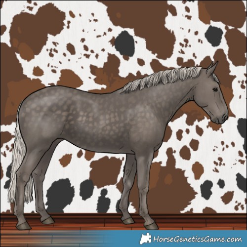 Horse Color:Silver Black