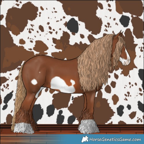 Horse Color:Chestnut Frame 