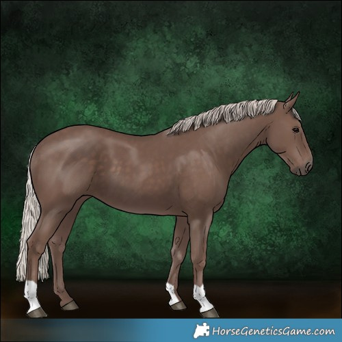 Horse Color:Silver Black 