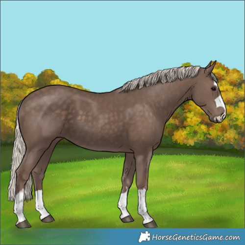 Horse Color:Silver Black 