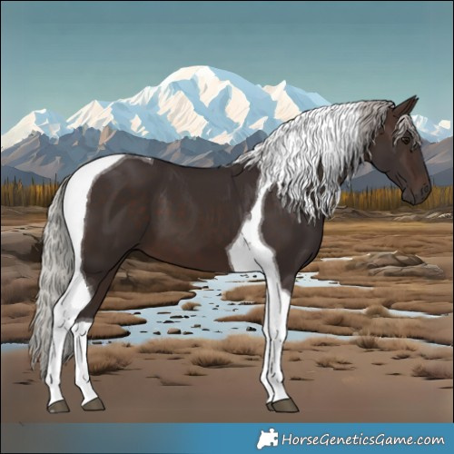 Horse Color:Silver Brown Tobiano