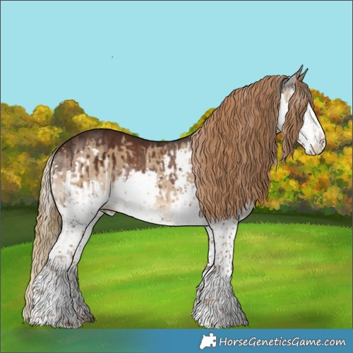 Horse Color:Liver Chestnut Splash and Gray Liver Red Dun Splash Brindle