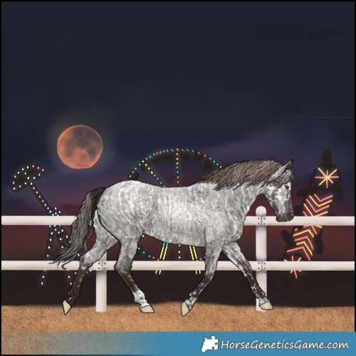 Horse Color:Gray Liver Red Roan Near Leopard  and Liver Red Roan Tobiano Blanket 