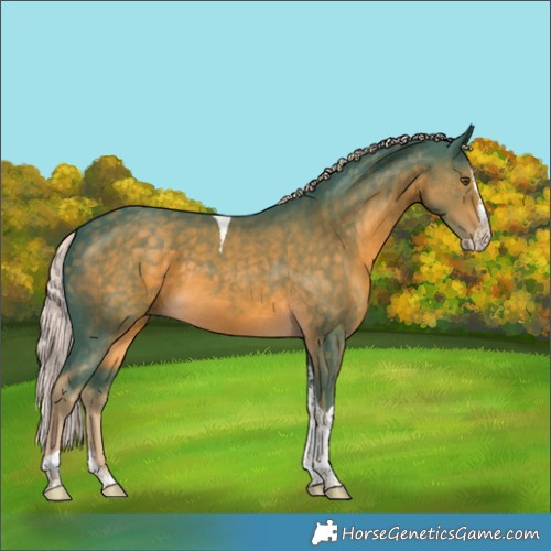 Horse Color:Watercolor Chocolate Palomino Splash Tobiano 