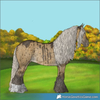 Horse Color:Silver Buckskin Dun Varnish Rabicano Brindle 