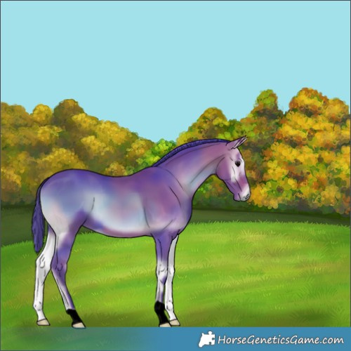 Horse Color:Watercolor Bay Onyx 